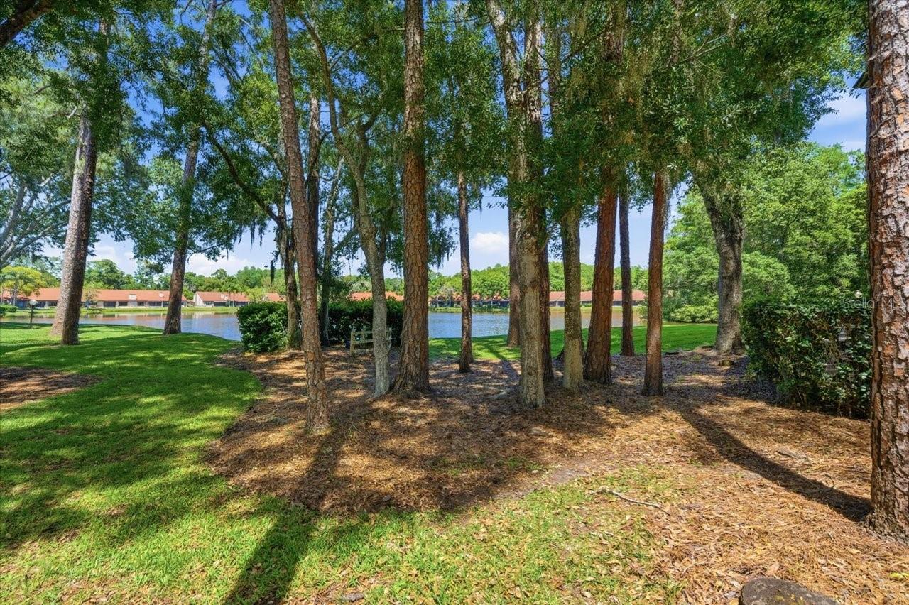 FARRELL PARK CONDO - Residential