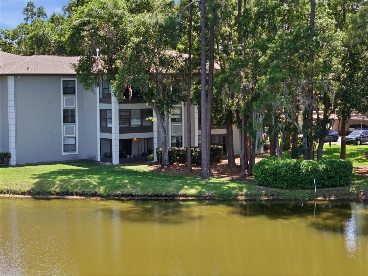 FARRELL PARK CONDO - Residential