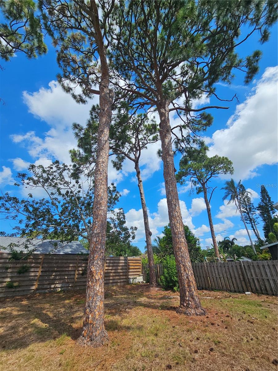 PETRECCA TERRACE - Residential Lease