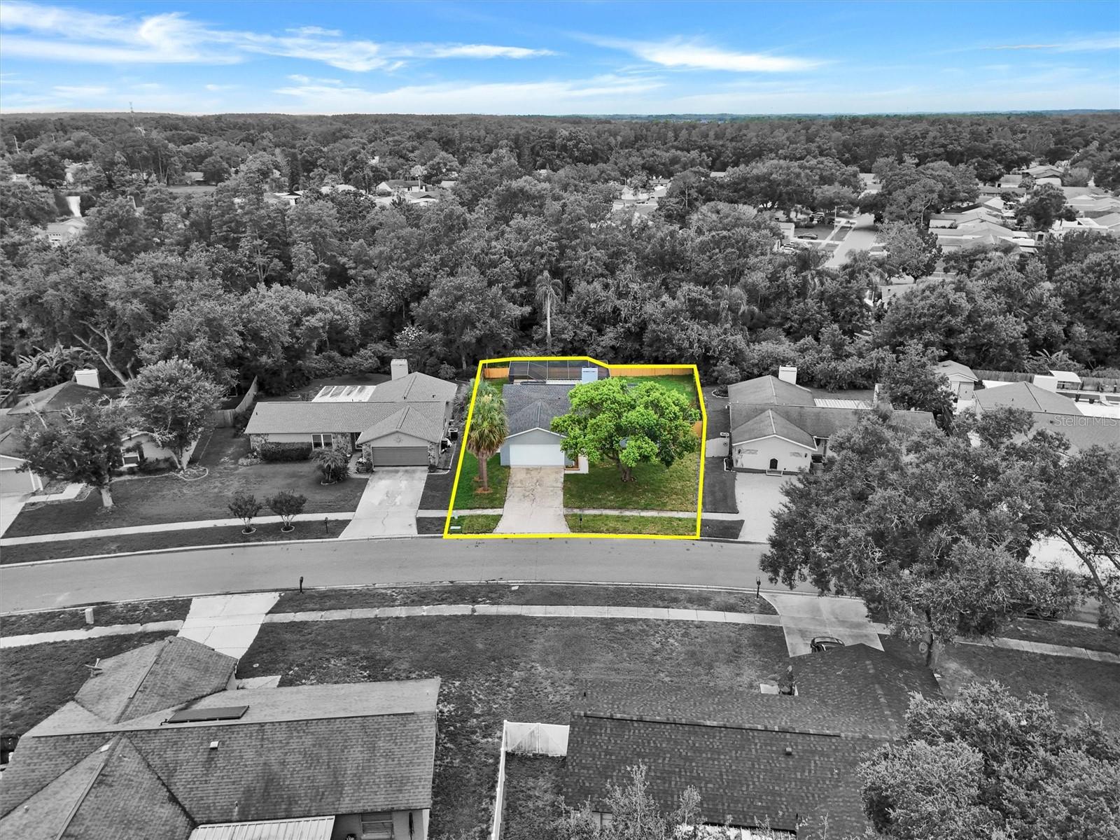 CARROLLWOOD MEADOWS UNIT VII P - Residential