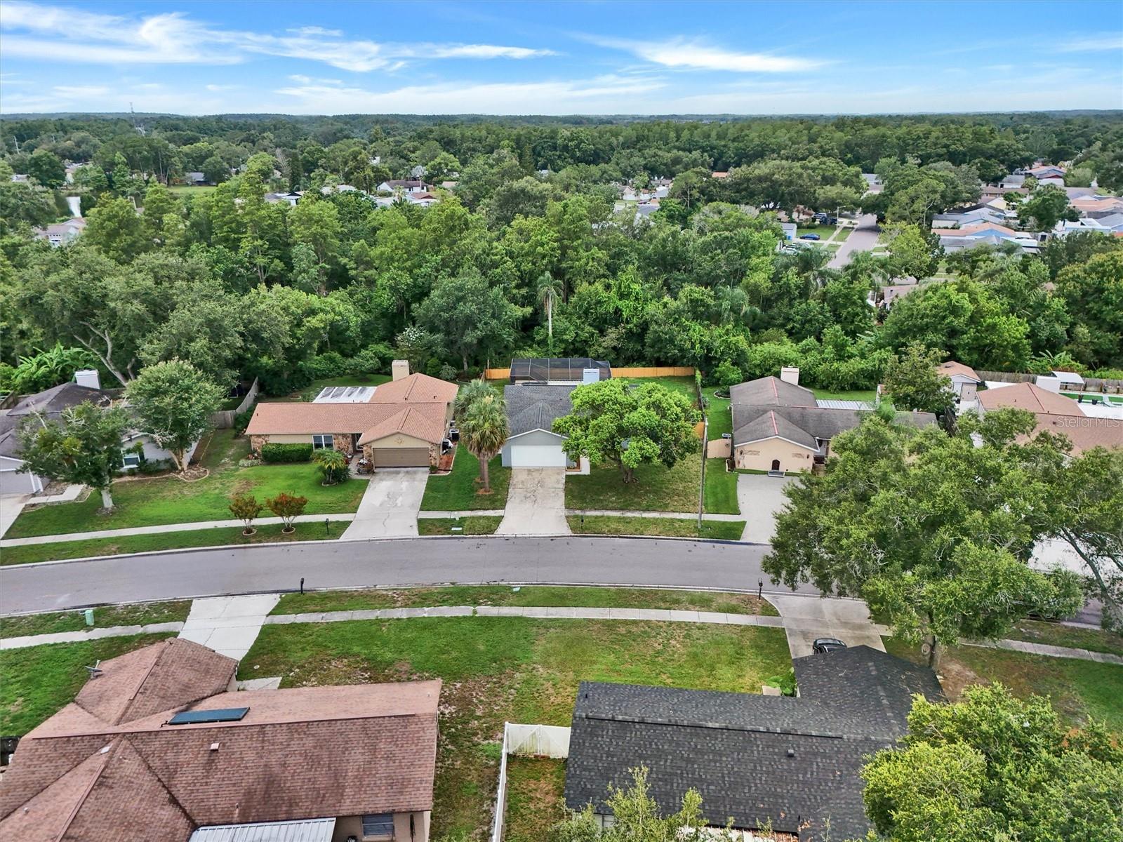 CARROLLWOOD MEADOWS UNIT VII P - Residential