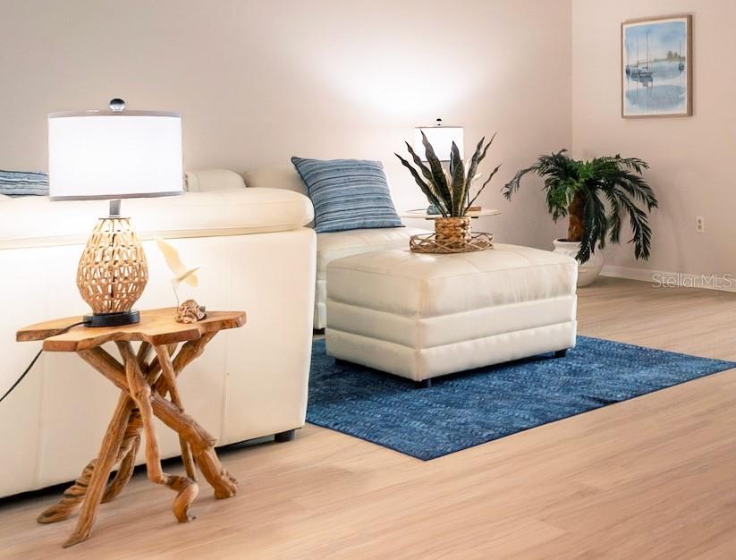 TOWN SHORES OF GULFPORT - Residential