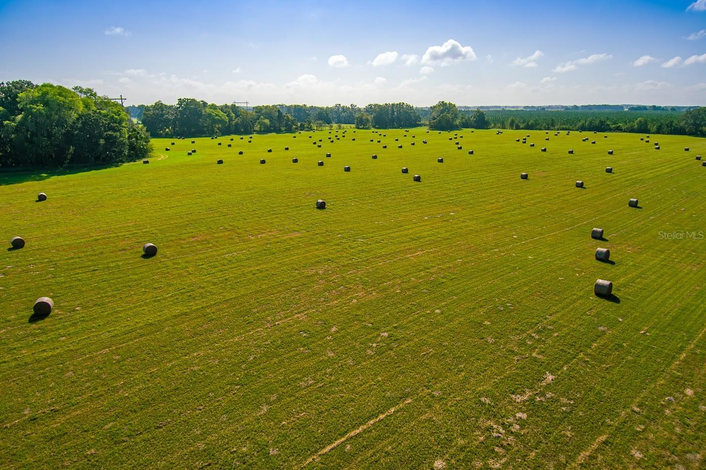 N/A - Farm