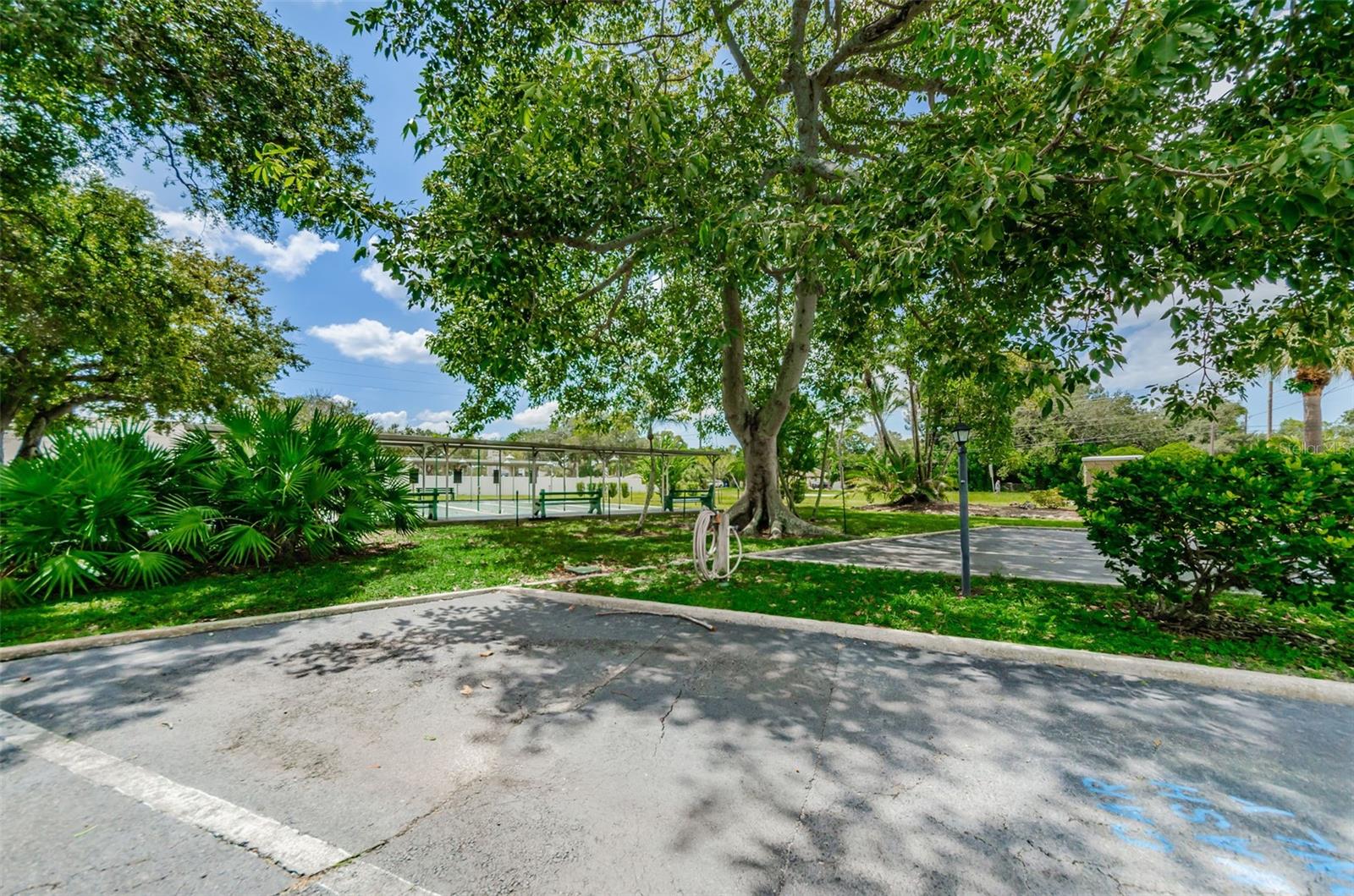 CLEARVIEW OAKS CONDO - Residential