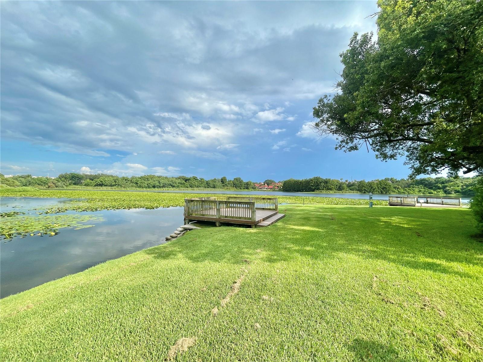 COVE AT PEARL LAKE - Residential