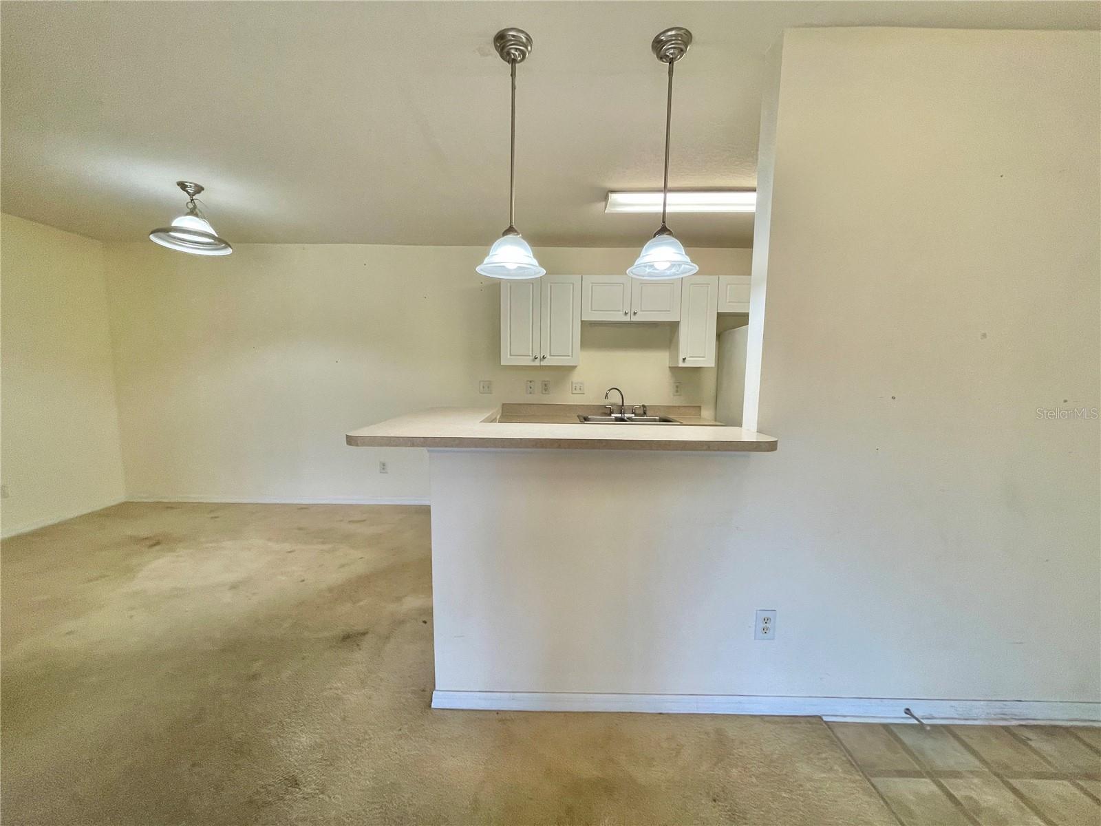 COVE AT PEARL LAKE - Residential