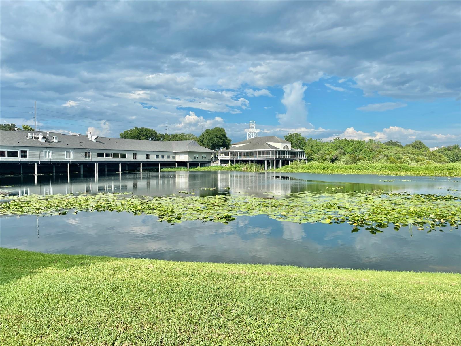 COVE AT PEARL LAKE - Residential