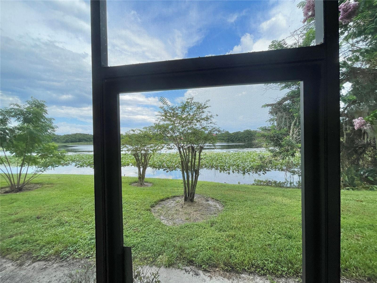 COVE AT PEARL LAKE - Residential