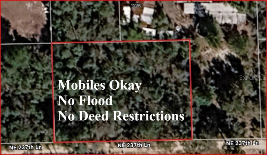 OCALA NATIONAL FOREST CAMPSITES - Land