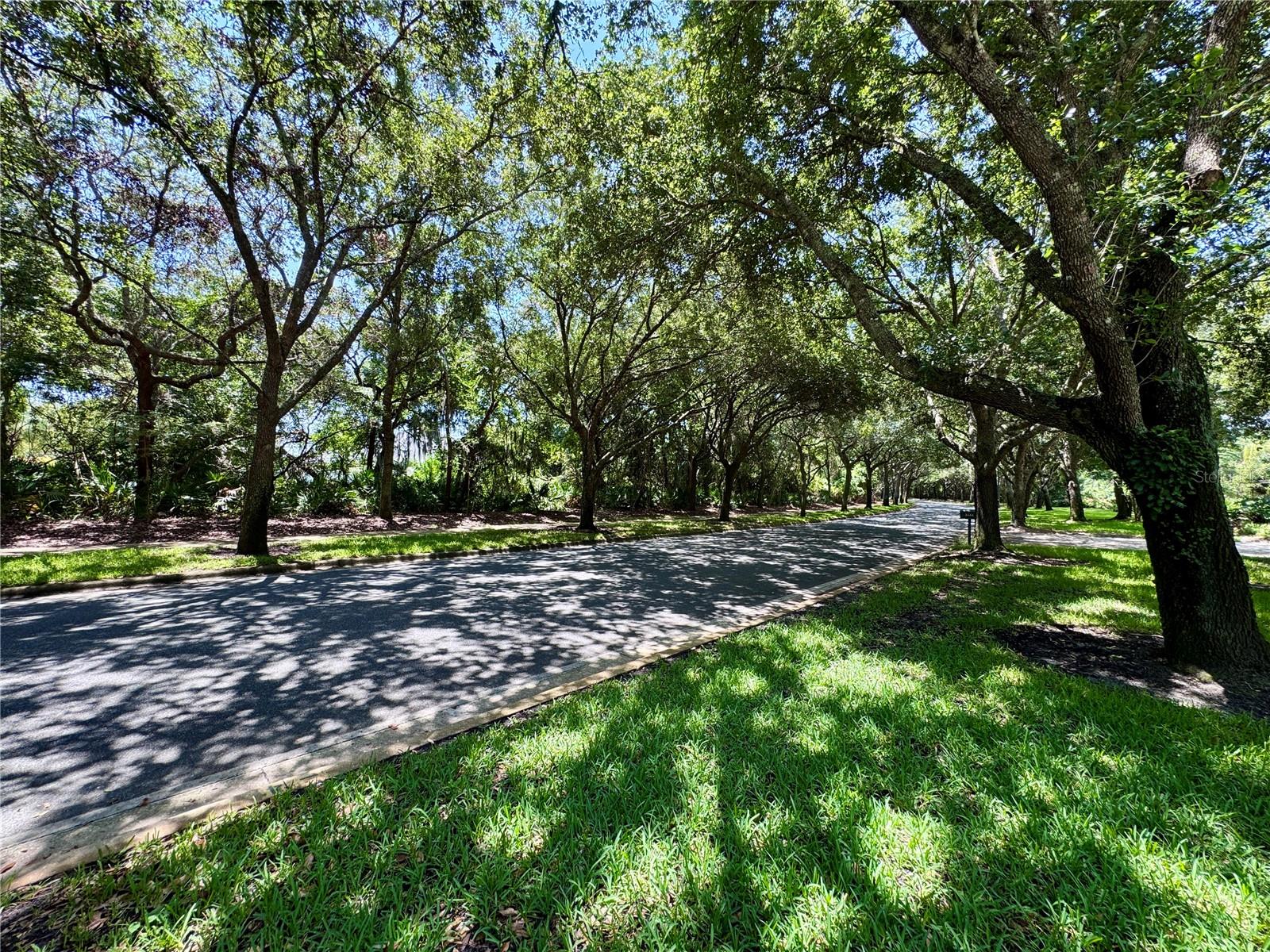 HALIFAX PLANTATION - Residential