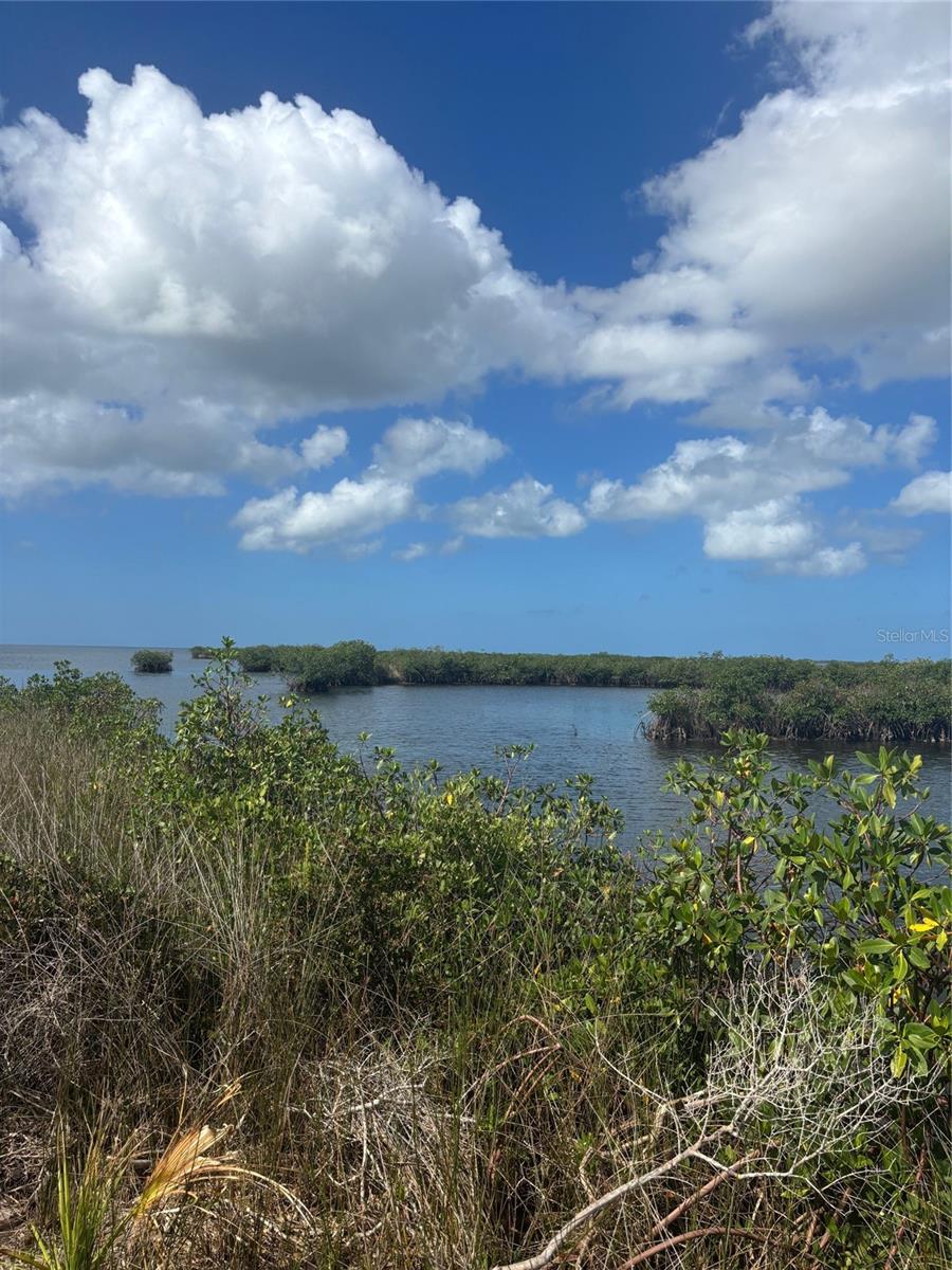 44.64 Acres on the Gulf of America — Aripekas Hidden Treasure
One of the last significant waterfront parcels between Tampa and Cedar Key awaits its
next steward. This extraordinary 44-acre property delivers what Florida's coast rarely
offers anymore: space, privacy, and direct Gulf access through your own boat ramp and
150 feet of protective seawall.

The Details That Matter: Agricultural zoning preserves your options and privacy. A new
145 x 60 pole barn anchors the property, ready for your vision. Fresh infrastructure
includes a 4" well system, while mature palms and cleared areas create an ideal
canvas. Two gated entrances off 1,250 feet of Indian Bay Drive frontage ensure both
security and flexibility for any development approach.
Envision Your Legacy: Create a sprawling waterfront estate with guest houses
dotting the landscape. Establish a multi-generational family compound where
grandchildren catch their first fish from your private dock. Develop an exclusive
ranchette blending coastal living with equestrian dreams. Transform it into a boutique
retreat center or conservation sanctuary. Or maximize value through strategic
subdivision into estate lots that preserve the propertys rare character.
Why This Property Commands Attention: In a market where waterfront lots are
measured in feet, not acres, this property offers breathing room that money rarely buys
anymore. The combination of size, zoning, infrastructure, and protected water access
positions this as one of the most versatile waterfront offerings on Floridas Nature Coast.
Sunsets included. Vision required