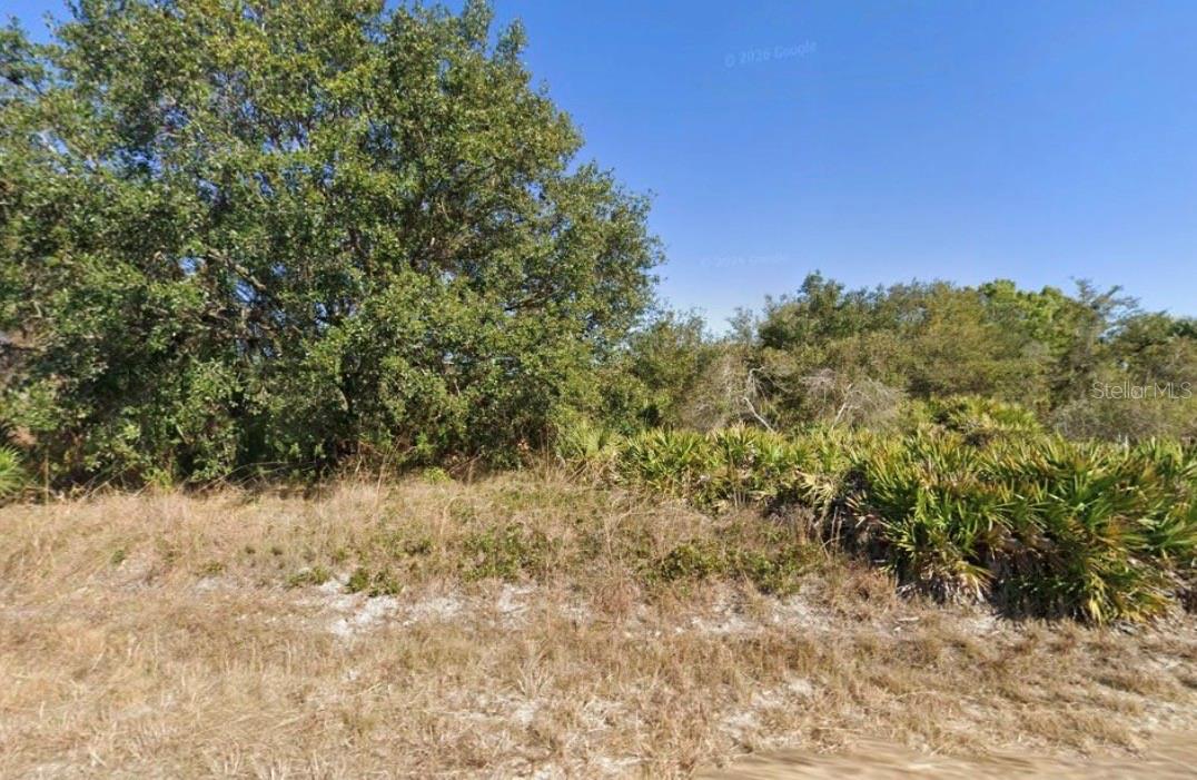 LEHIGH ACRES - Land
