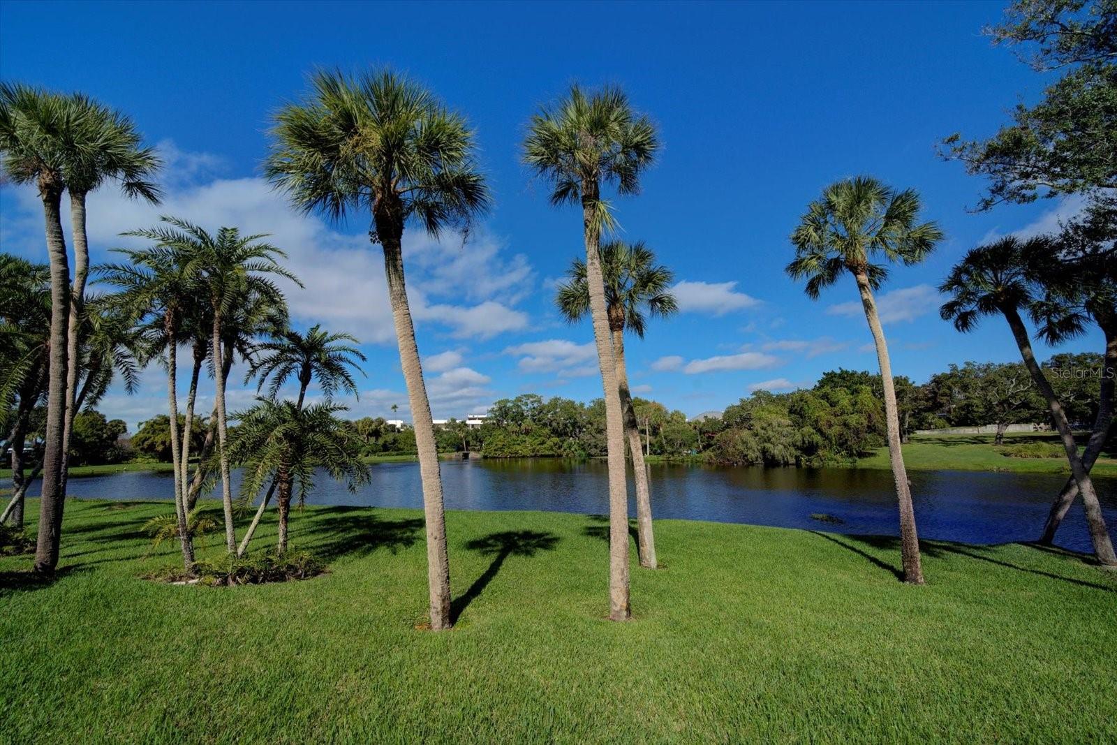 BELLEVIEW BILTMORE VILLAS BAYSHORE II - Residential