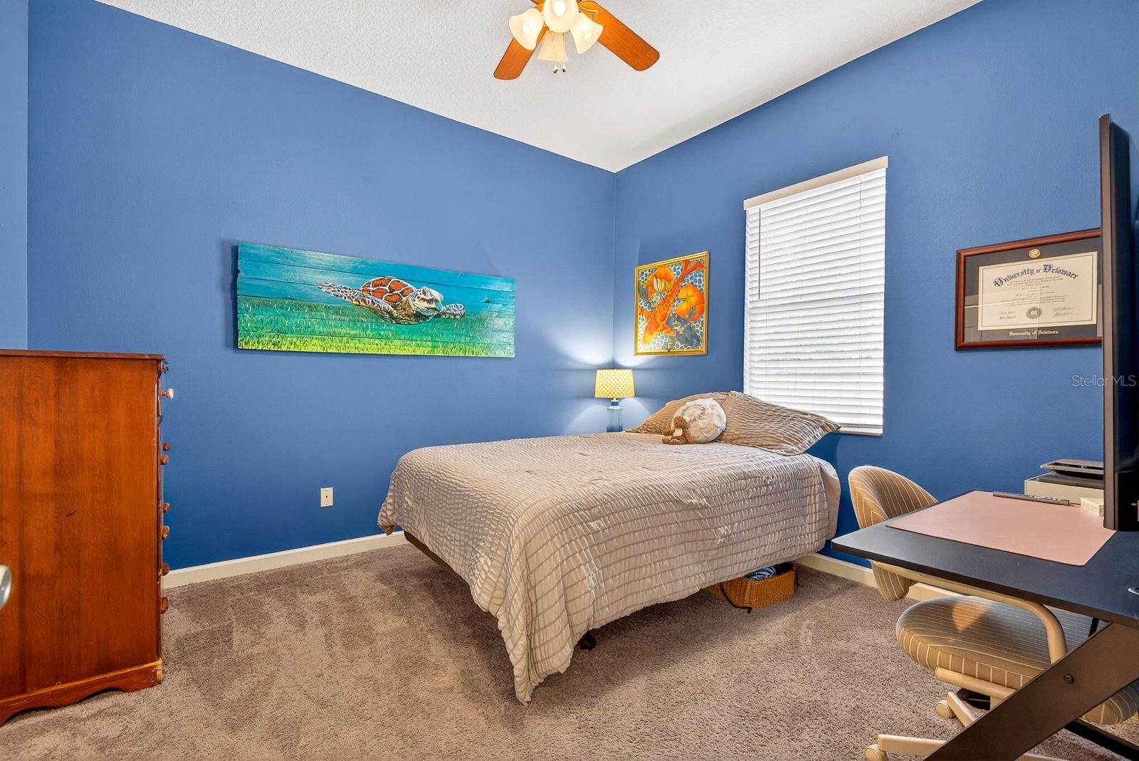 SEMINOLE PARK - Residential