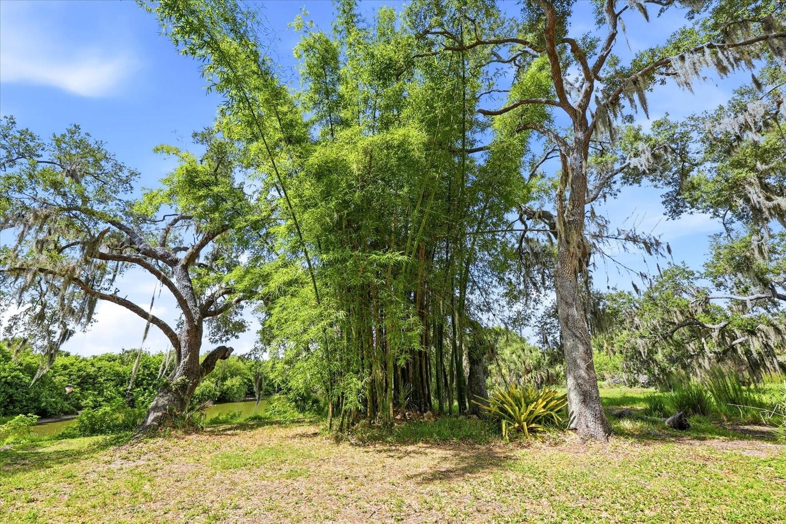 MYAKKA VALLEY RANCHES - Residential