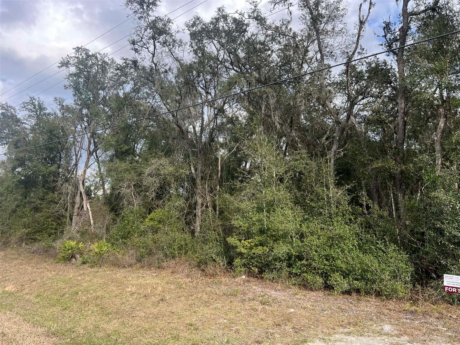 RIDGE MANOR ESTATES - Land