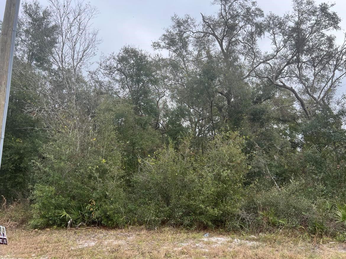 RIDGE MANOR ESTATES - Land