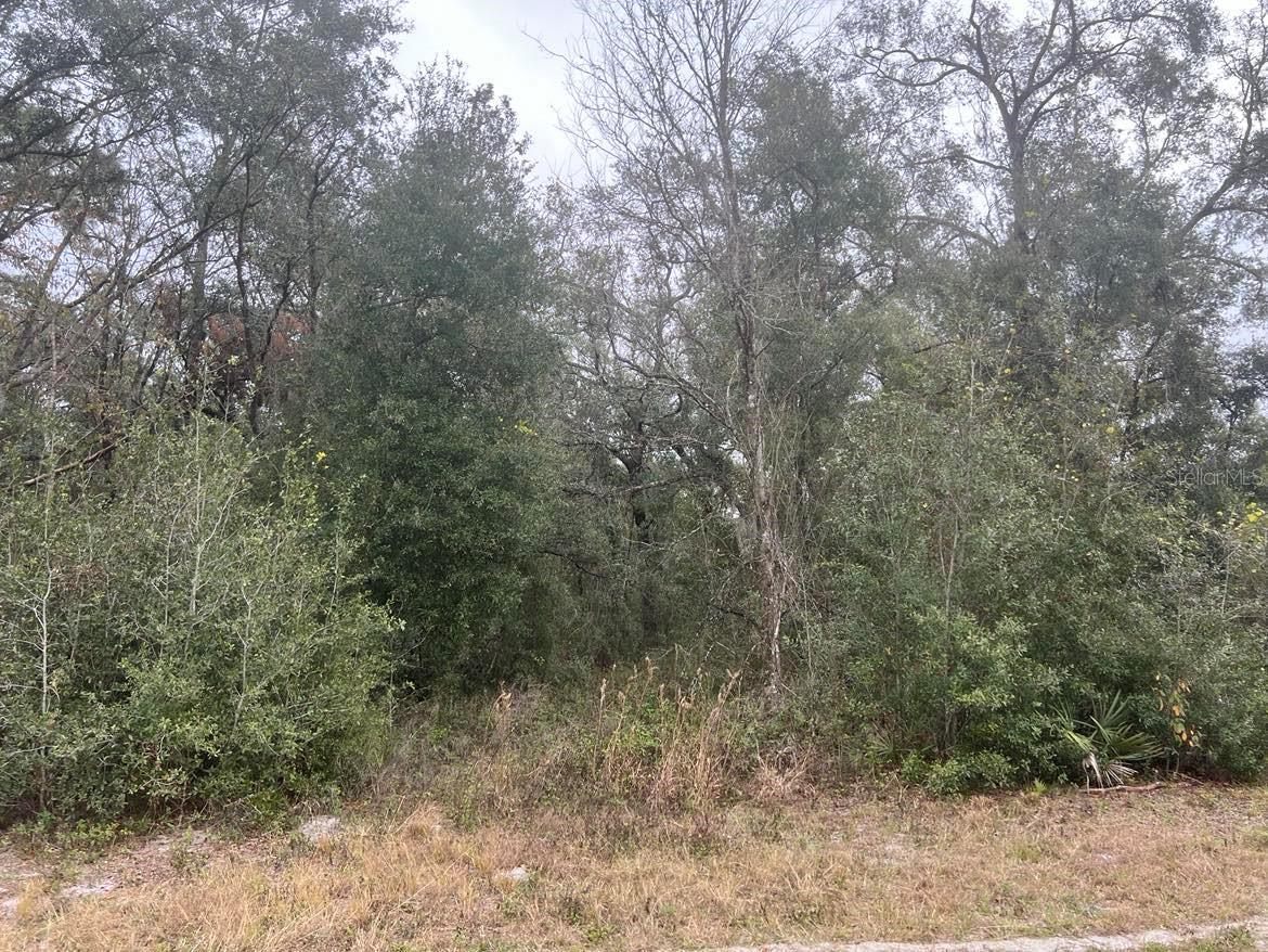 RIDGE MANOR ESTATES - Land