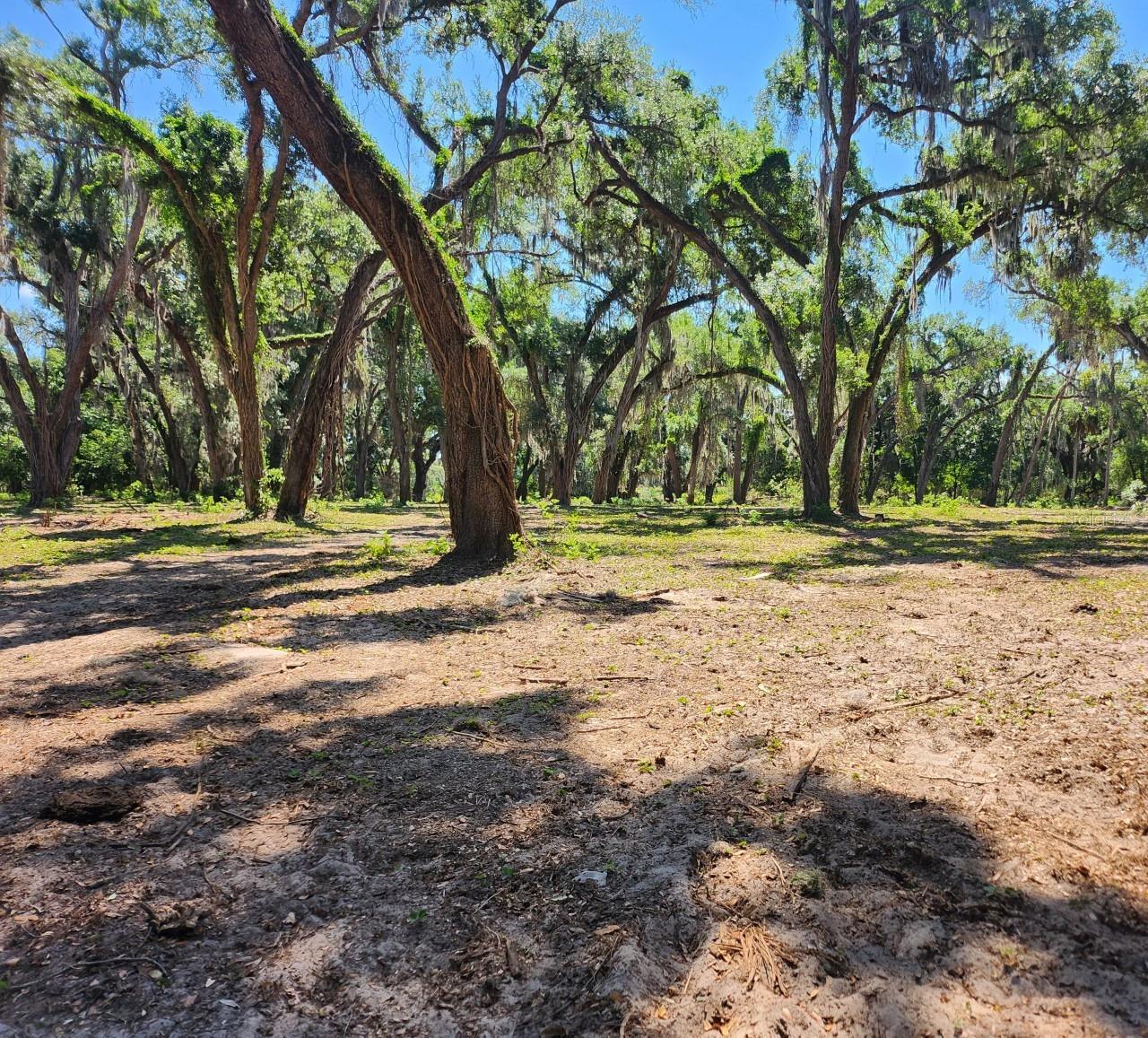 UNPLATTED - Land