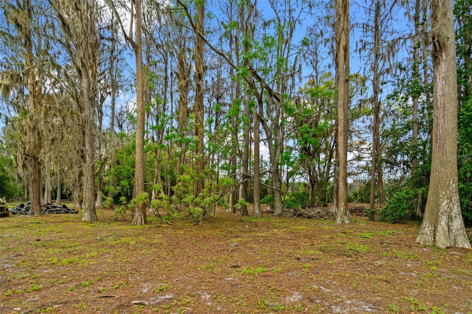 KEYSTONE PARK COLONY - Land