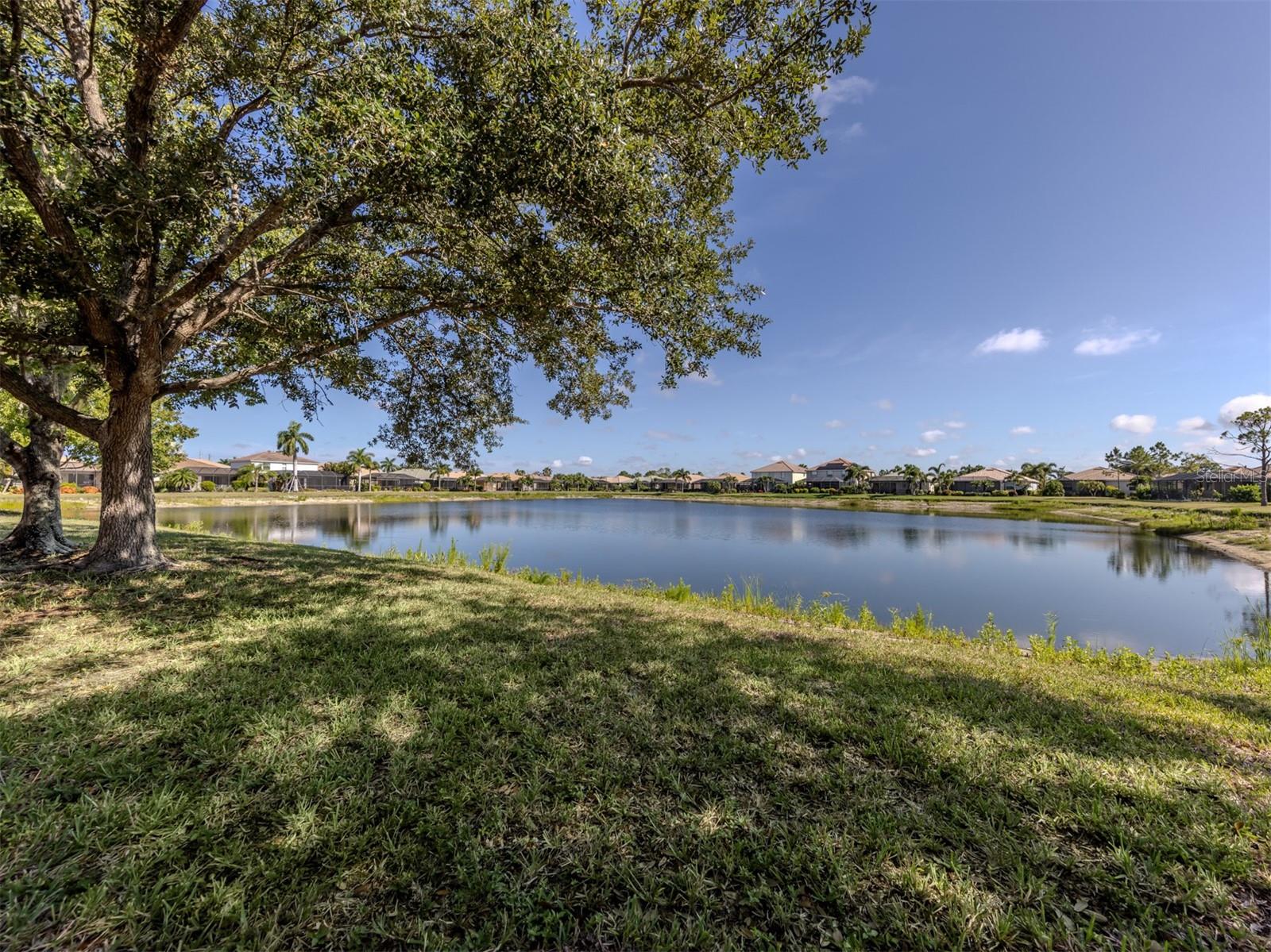 STONEYBROOK AT VENICE - Residential