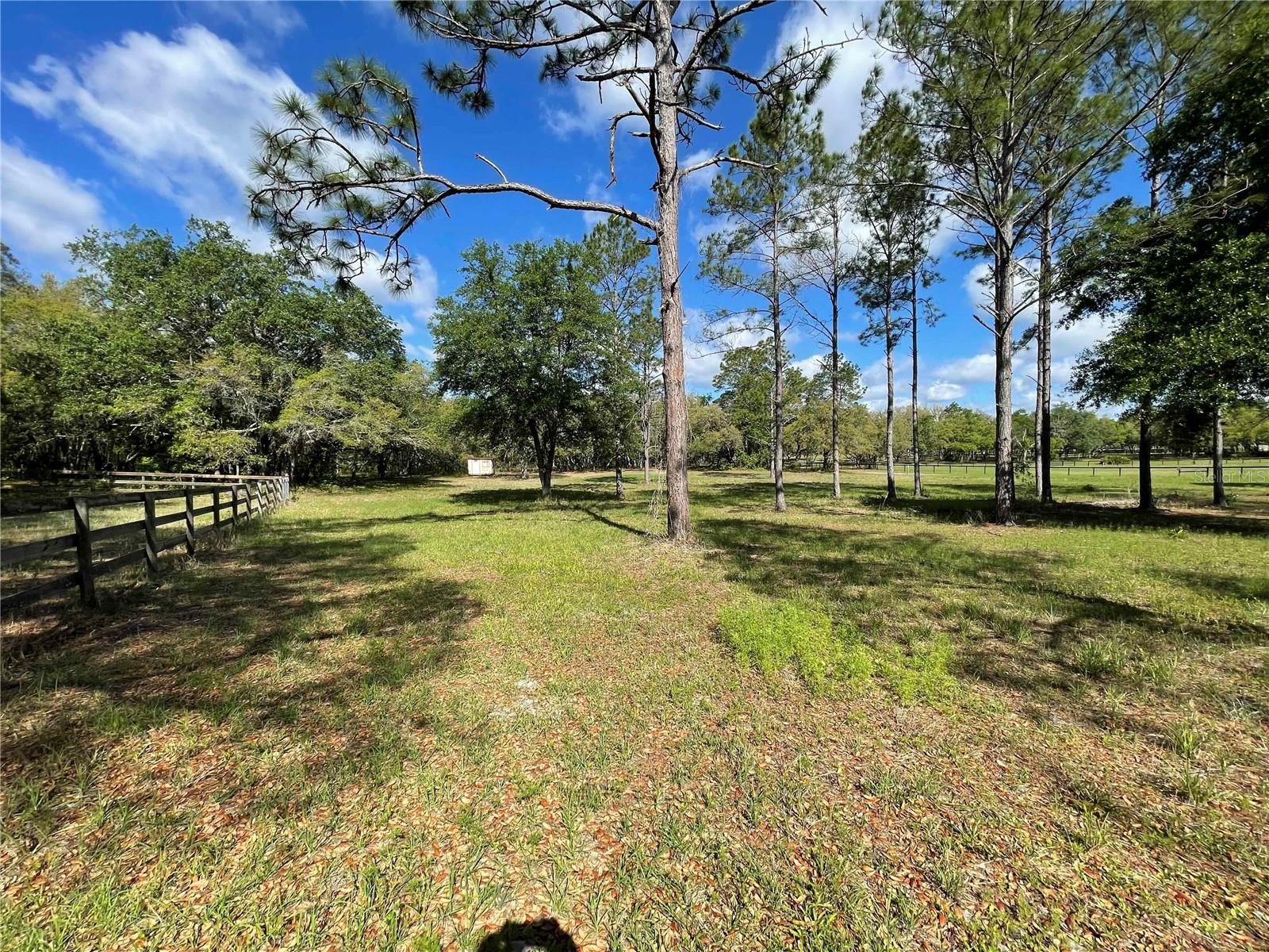 STEEPLECHASE FARMS - Residential