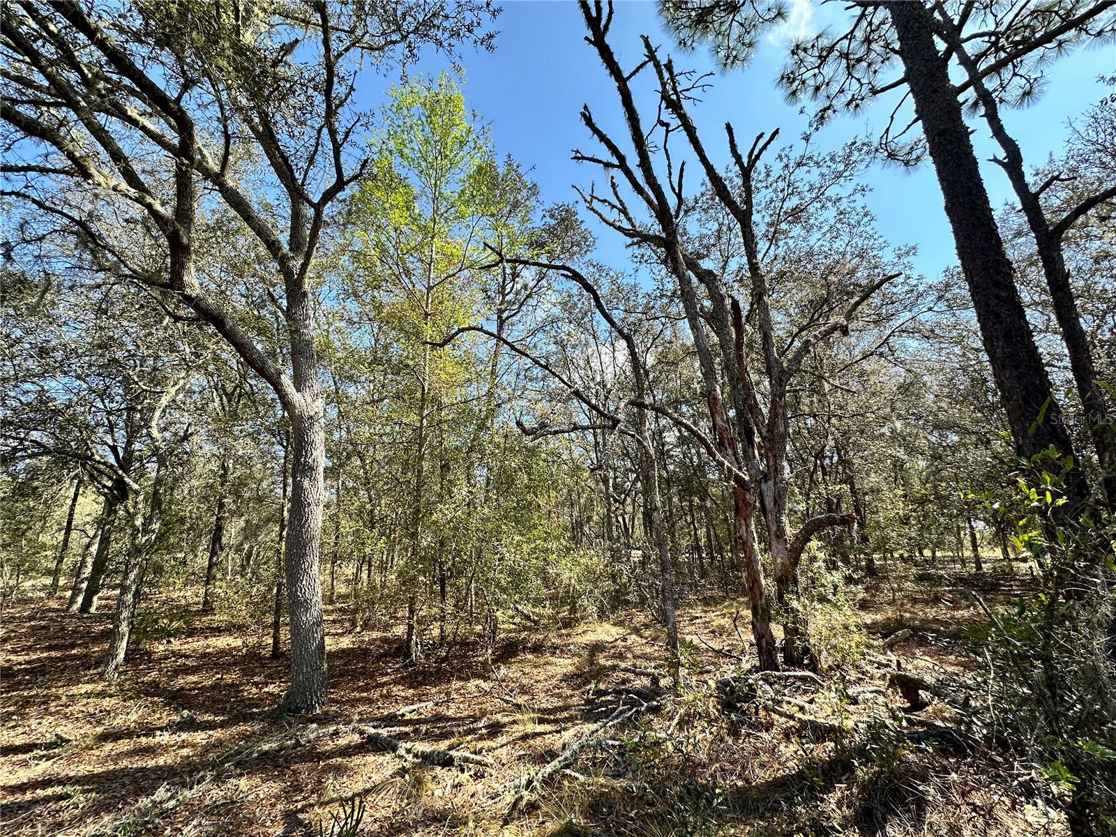 OAK RIDGE ESTATES - Land