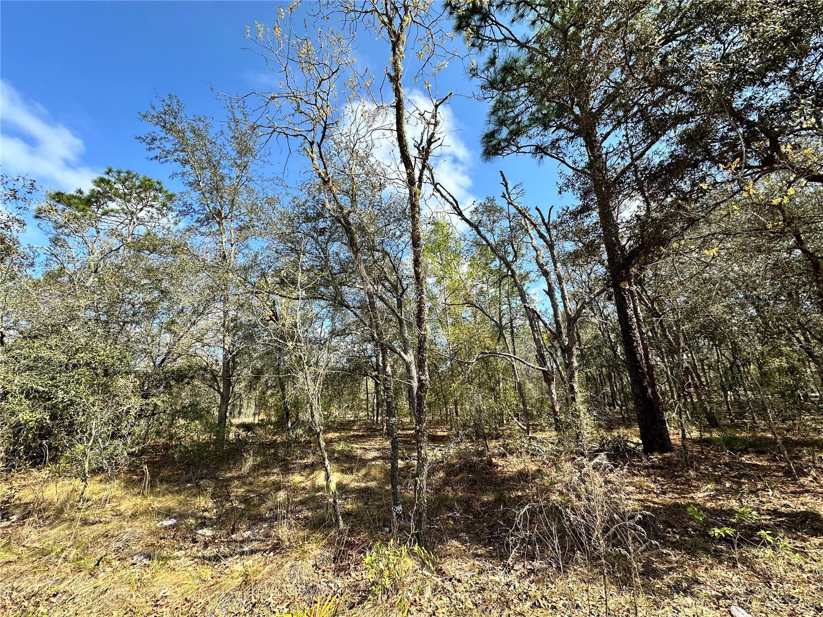 OAK RIDGE ESTATES - Land
