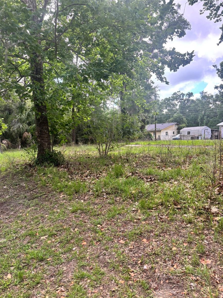 SELLER FINANCING!!  50% down!  .23 Acre parcel zoned Residential. Build your dream home or just have a piece of land to decide what to do with later. At this price you can't go wrong. Situated near many outdoor activities and raw land. The possibilities to dream big are right here for you to take advantage of. Drive by today to take a look, maybe you will be surprised by the vision that comes into view.  Close to all things Bronson and Gainesville as well as Williston and Chiefland.  Close to Courthouse and DMV as well as other County offices.