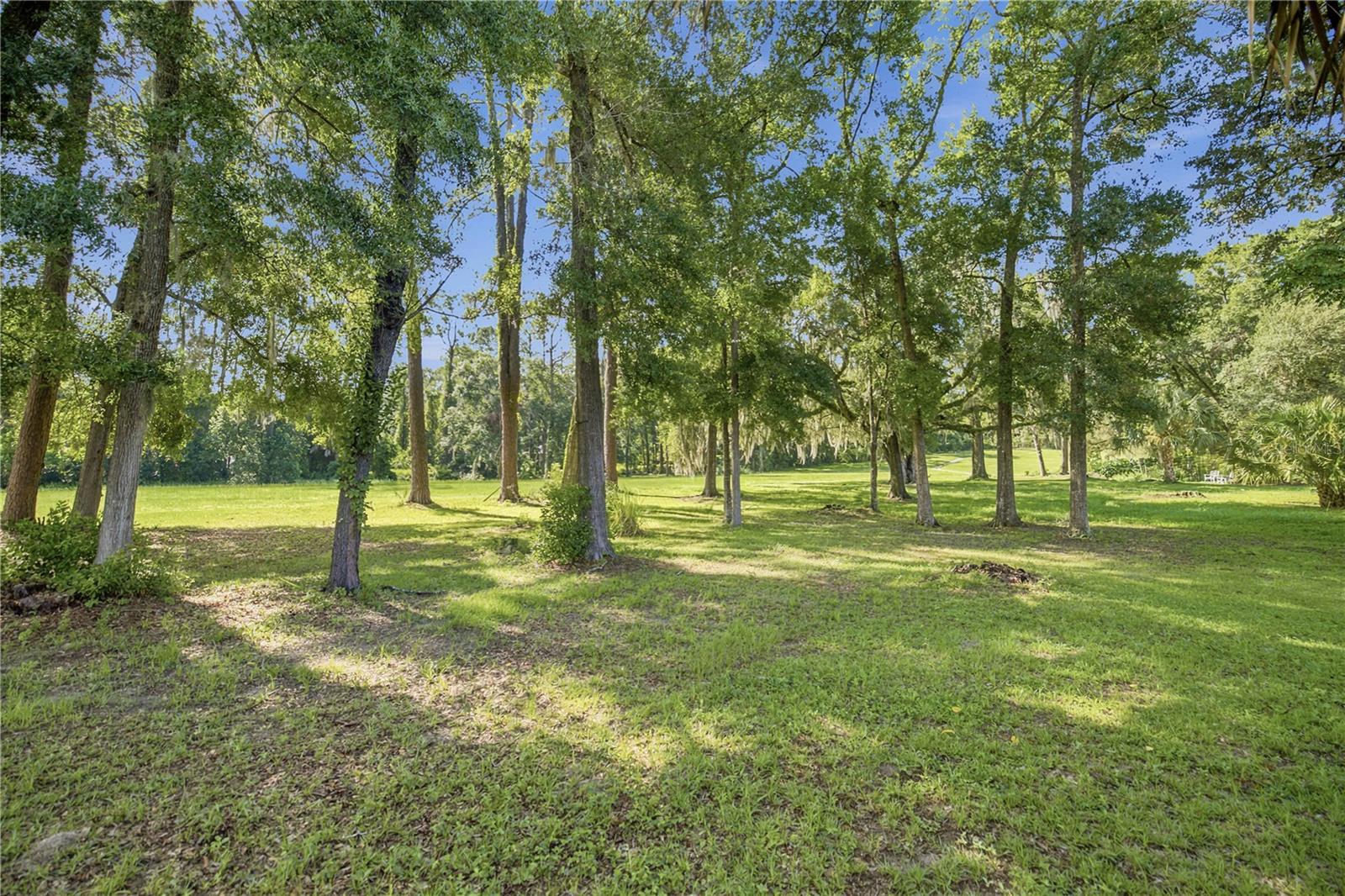 FAIRWAY ESTATE - Residential