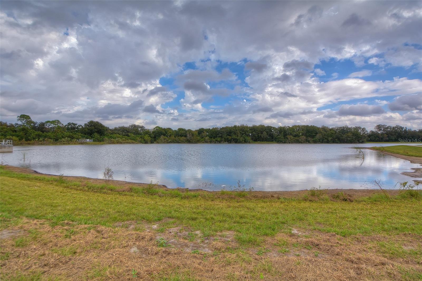 VILLAGE IX OF CARROLLWOOD VILL - Residential