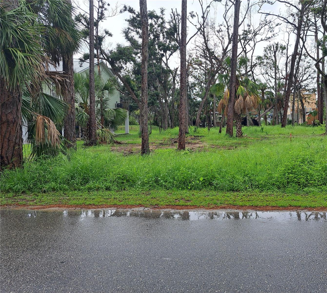 STEINHATCHEE SUB - Land