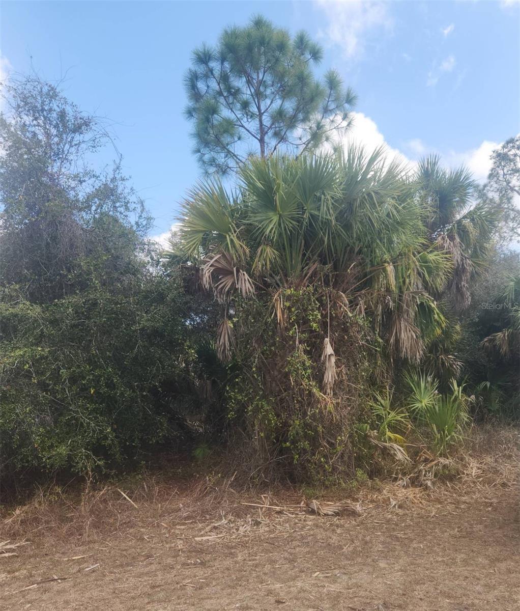 PORT CHARLOTTE - Land