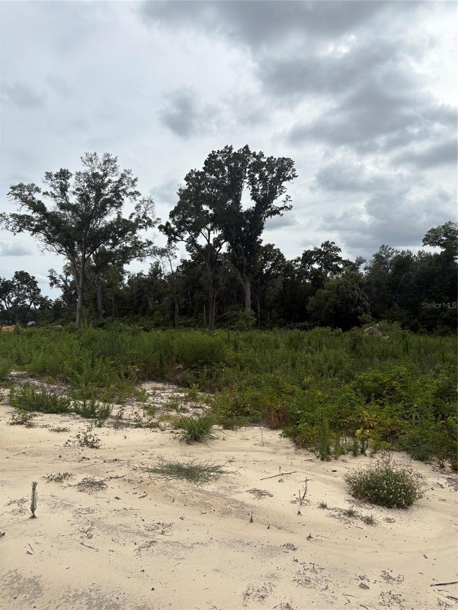 BELLEVIEW RDG ESTATES ADD 01 - Land