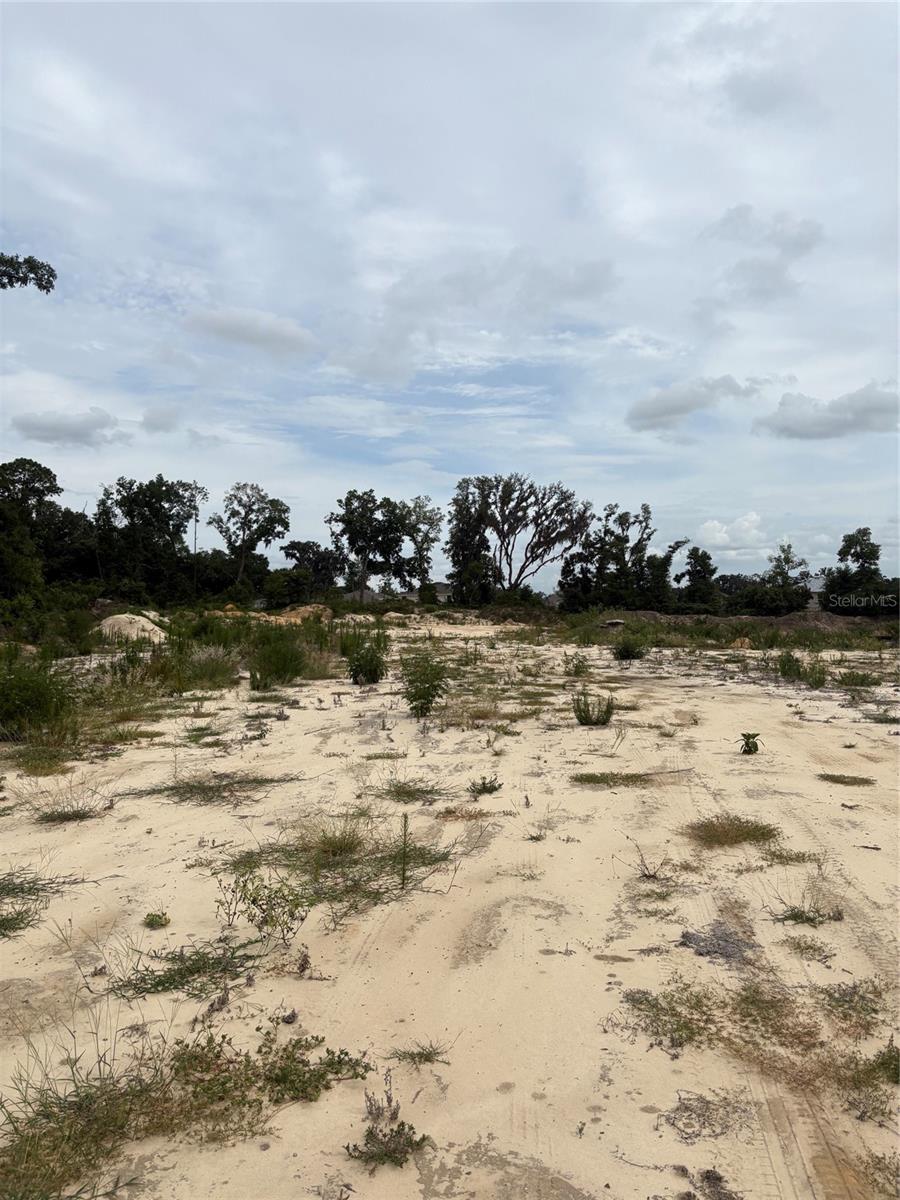 BELLEVIEW RDG ESTATES ADD 01 - Land