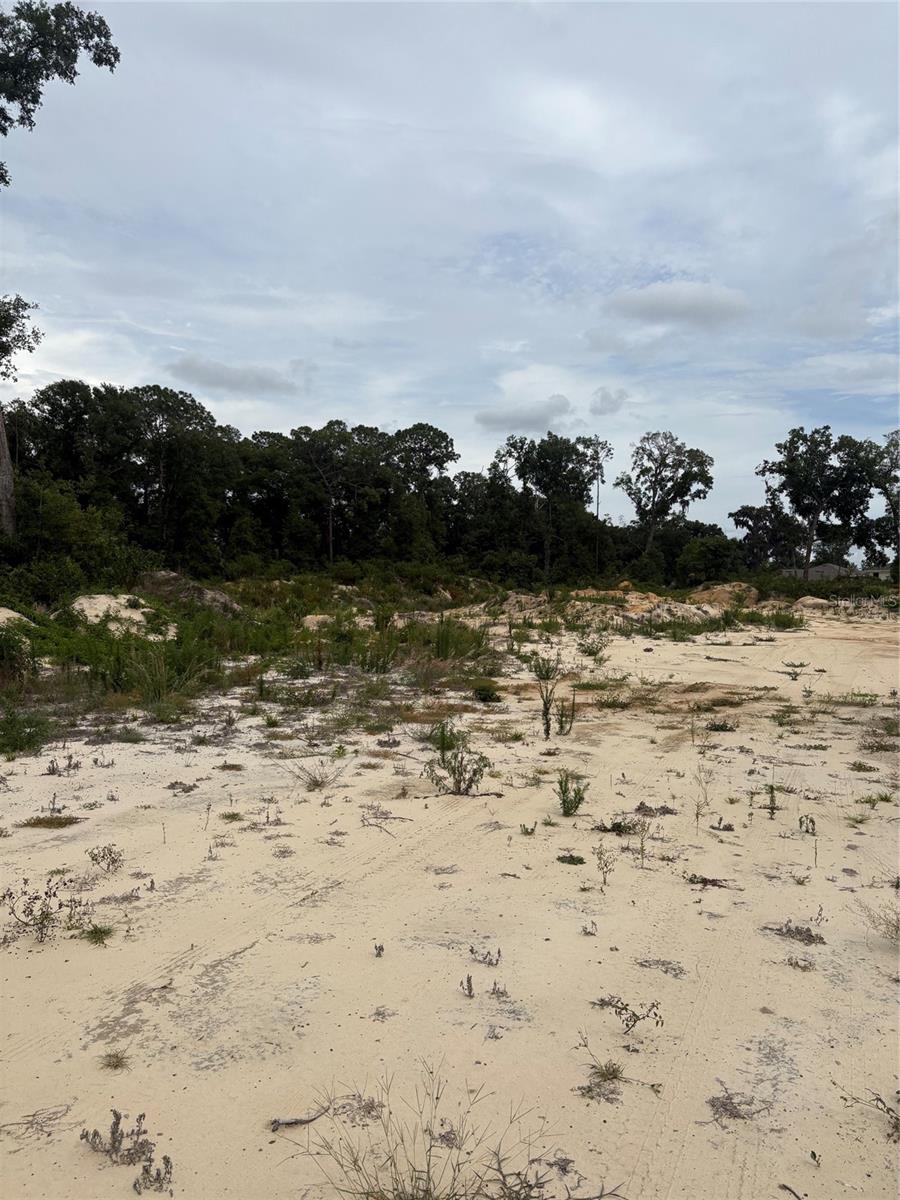 BELLEVIEW RDG ESTATES ADD 01 - Land