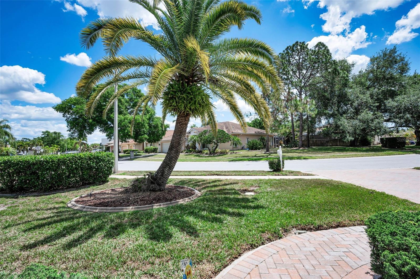 GLENWOOD GULF TRACE - Residential
