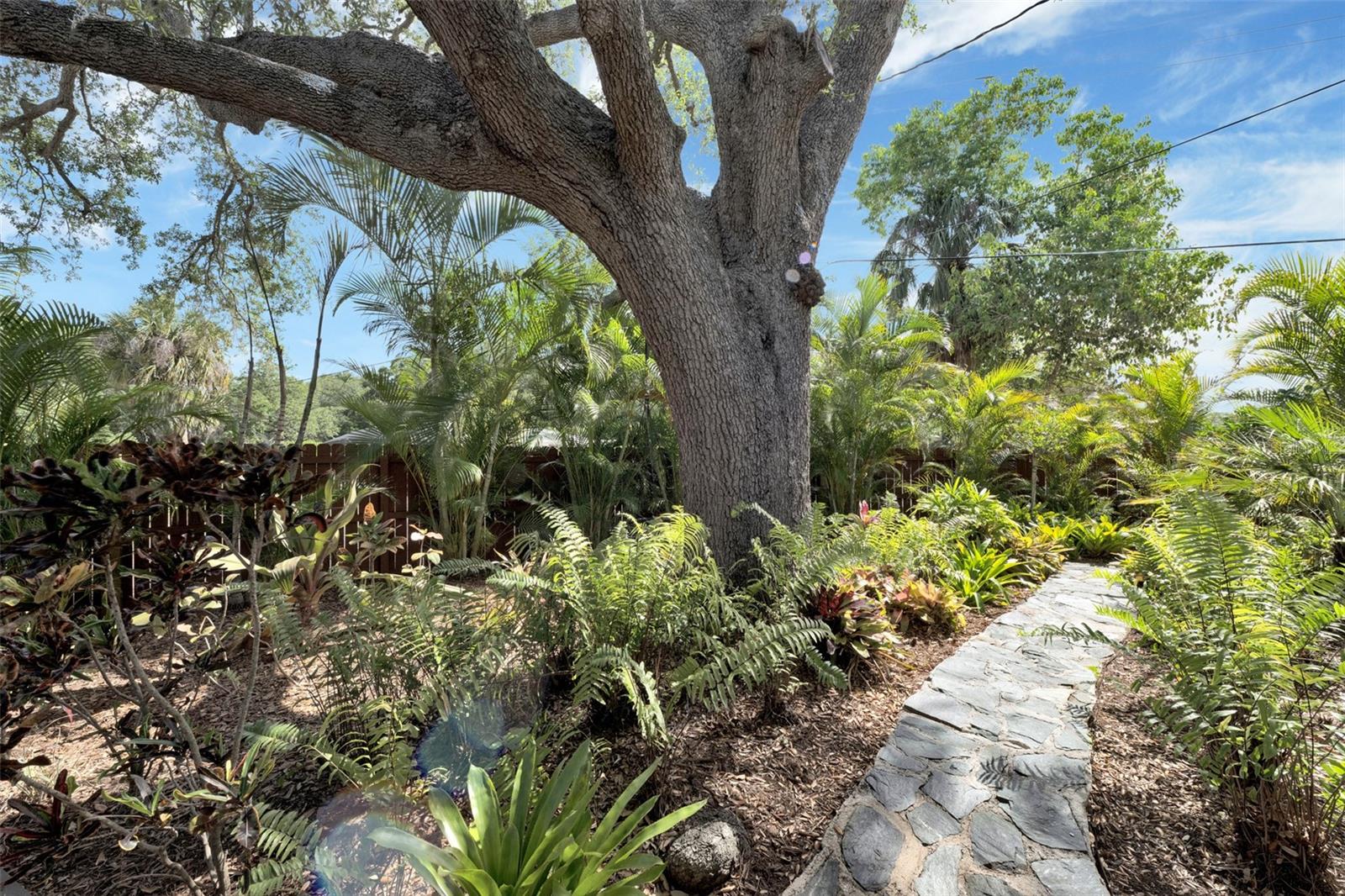 LOMA LINDA PARK RESUB - Residential