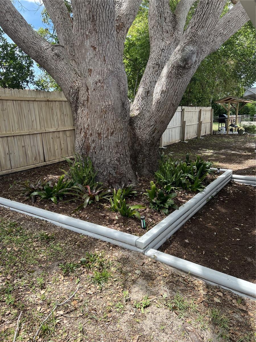 TANGLEWOOD TERRACE - Residential