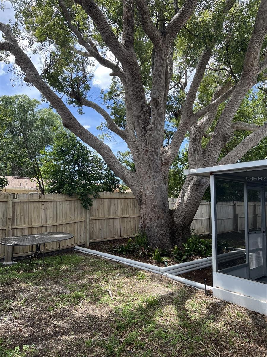 TANGLEWOOD TERRACE - Residential