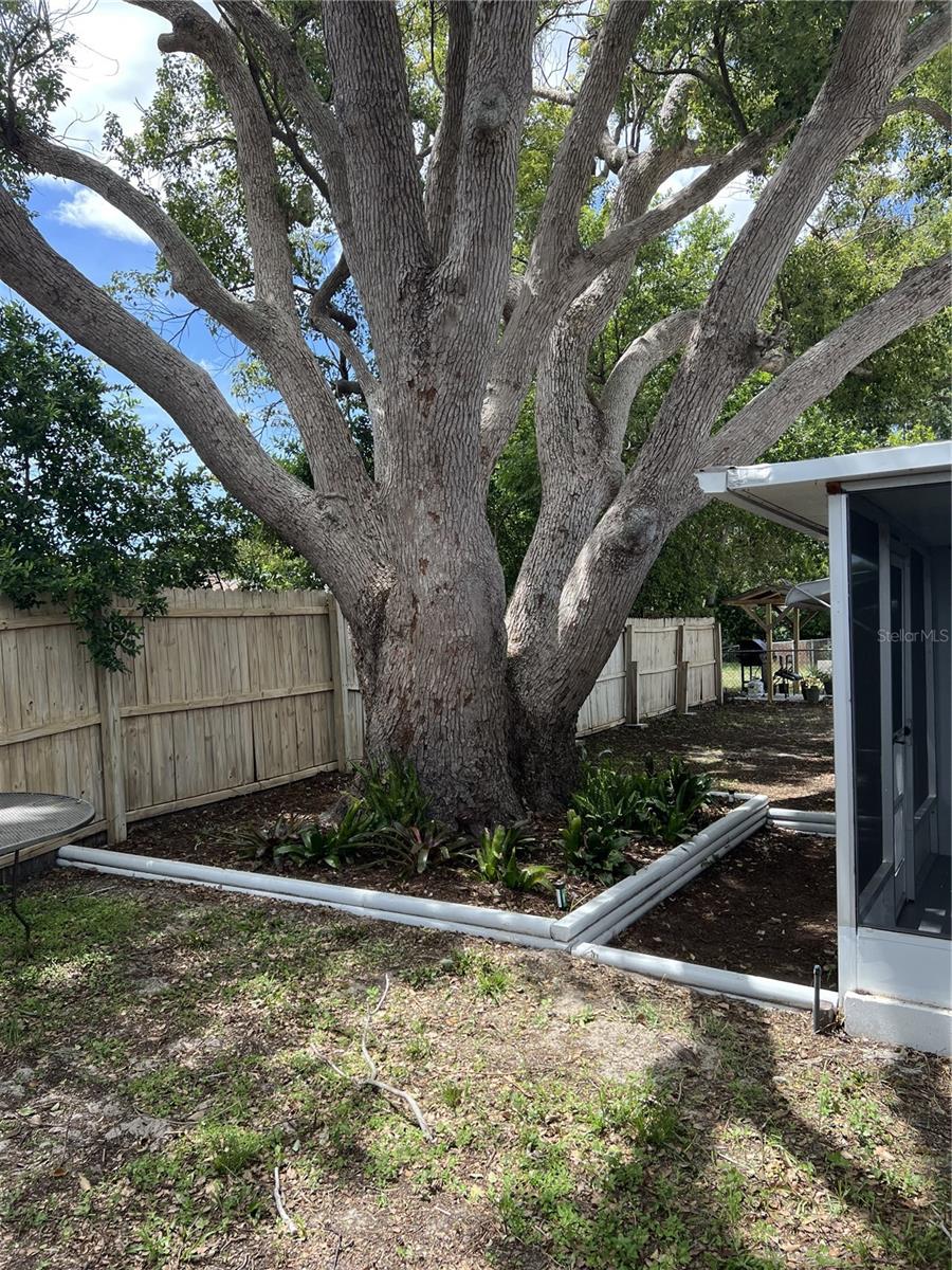 TANGLEWOOD TERRACE - Residential