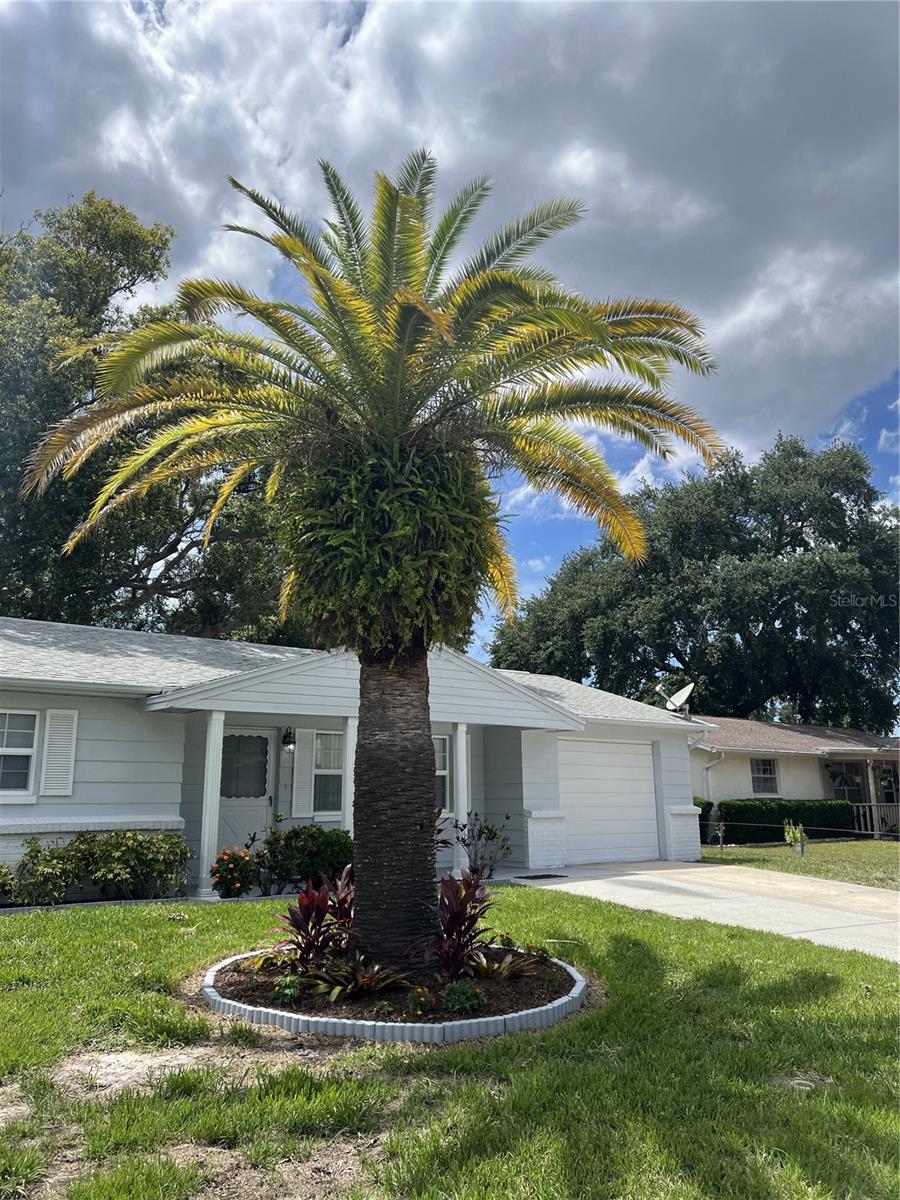 TANGLEWOOD TERRACE - Residential