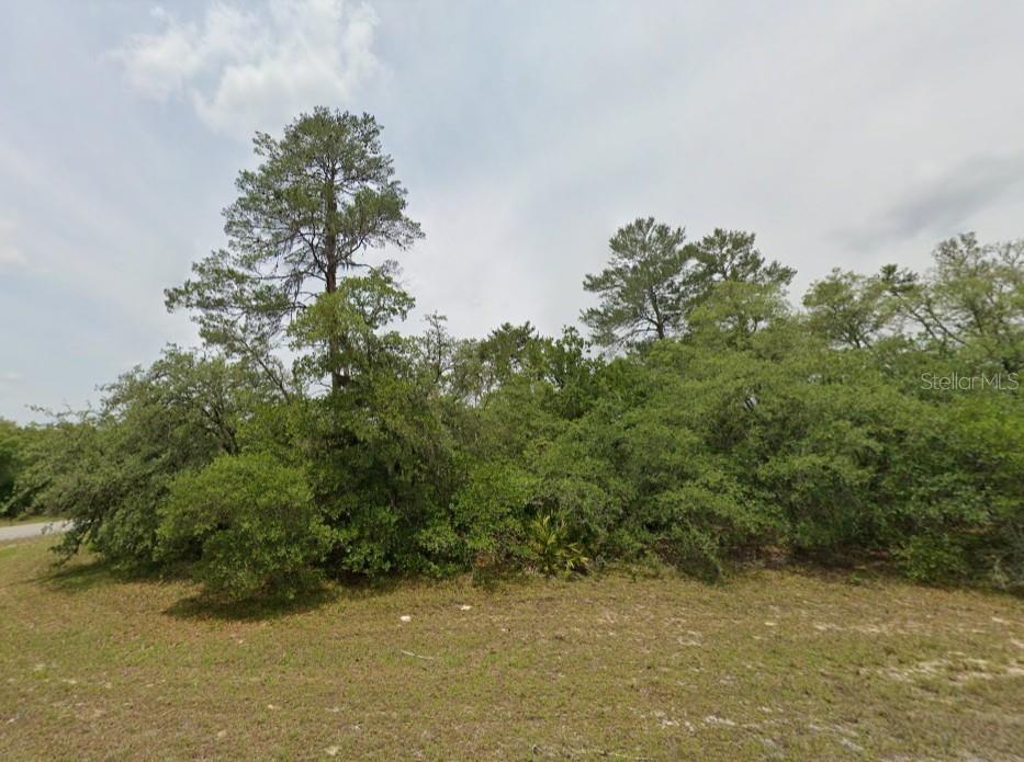 MARION OAKS UN 05 - Land