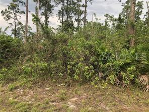 Build your Dream Home on this Lot. Huge lot that can accommodate the size of house you'd like.