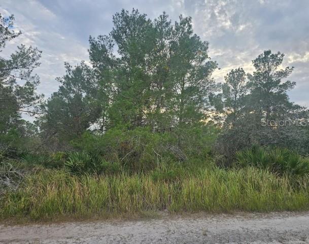 ORANGE BLOSSOM ESTATE - Land