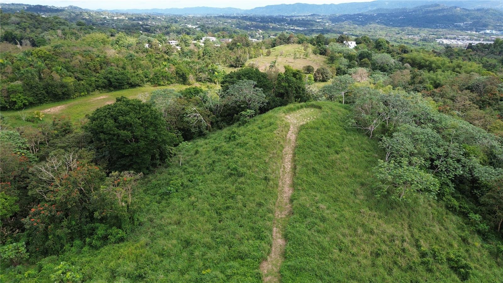 A legacy of land and liberty awaits in the heights of Barrio Mariana, where vast acreage is no longer a luxury, but your new reality.
 This is a rare acquisition opportunity in Humacao, featuring two adjacent estates totaling an impressive 12.98 cuerdas (approx. 12.6 acres / 51,000 m²) of pristine land. The property consists of two separate parcels—one measuring 5.99 cuerdas and the other 6.99 cuerdas—offered together for a single listing price. This dual-lot configuration provides unmatched flexibility, whether you are looking to develop a private family compound, a sustainable farm, or a strategic long-term land hold in one of the East Coast’s most serene locations.
What sets this land apart is its sheer scale and prestigious location. Barrio Mariana is renowned for its refreshing microclimate, vibrant local culture, and breathtaking mountainous landscapes. Acquiring nearly 13 cuerdas ensures absolute privacy with no immediate neighbors, granting you the freedom to design an eco-friendly retreat, an agricultural estate, or an exclusive mountain sanctuary that leverages the area's unique topography. Living or developing in Mariana means enjoying the best of both worlds. You are tucked away in a private mountain sanctuary, yet only minutes from downtown Humacao, top-tier hospitals, shopping centers, and the world-class resort amenities of Palmas del Mar. It is the perfect balance between rural serenity and modern convenience.  Opportunities of this magnitude in such a sought-after sector are few and far between. For coordinates, access details, or to schedule a private site visit, contact us today.