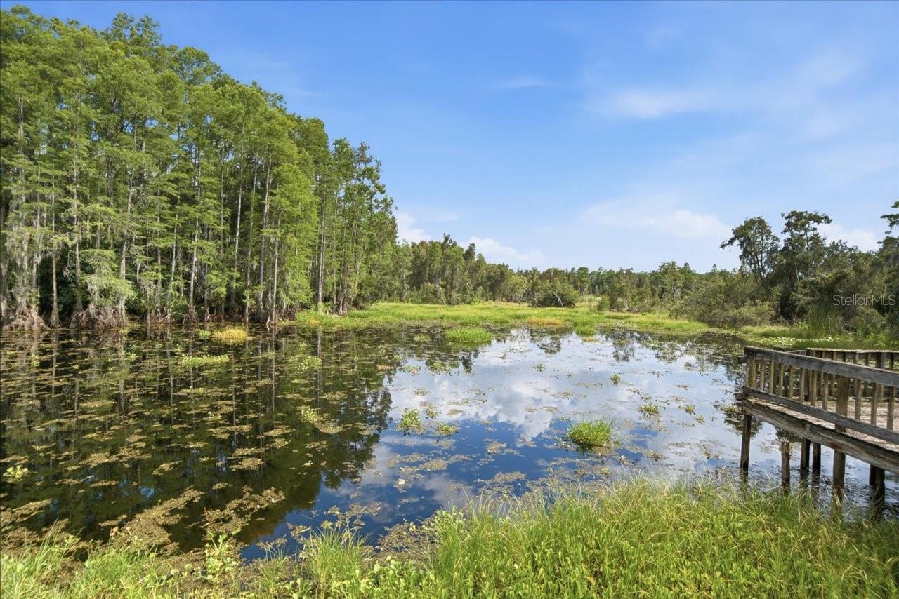 LAKE MAGDALENE WOODS LOT 9 REPLAT - Land