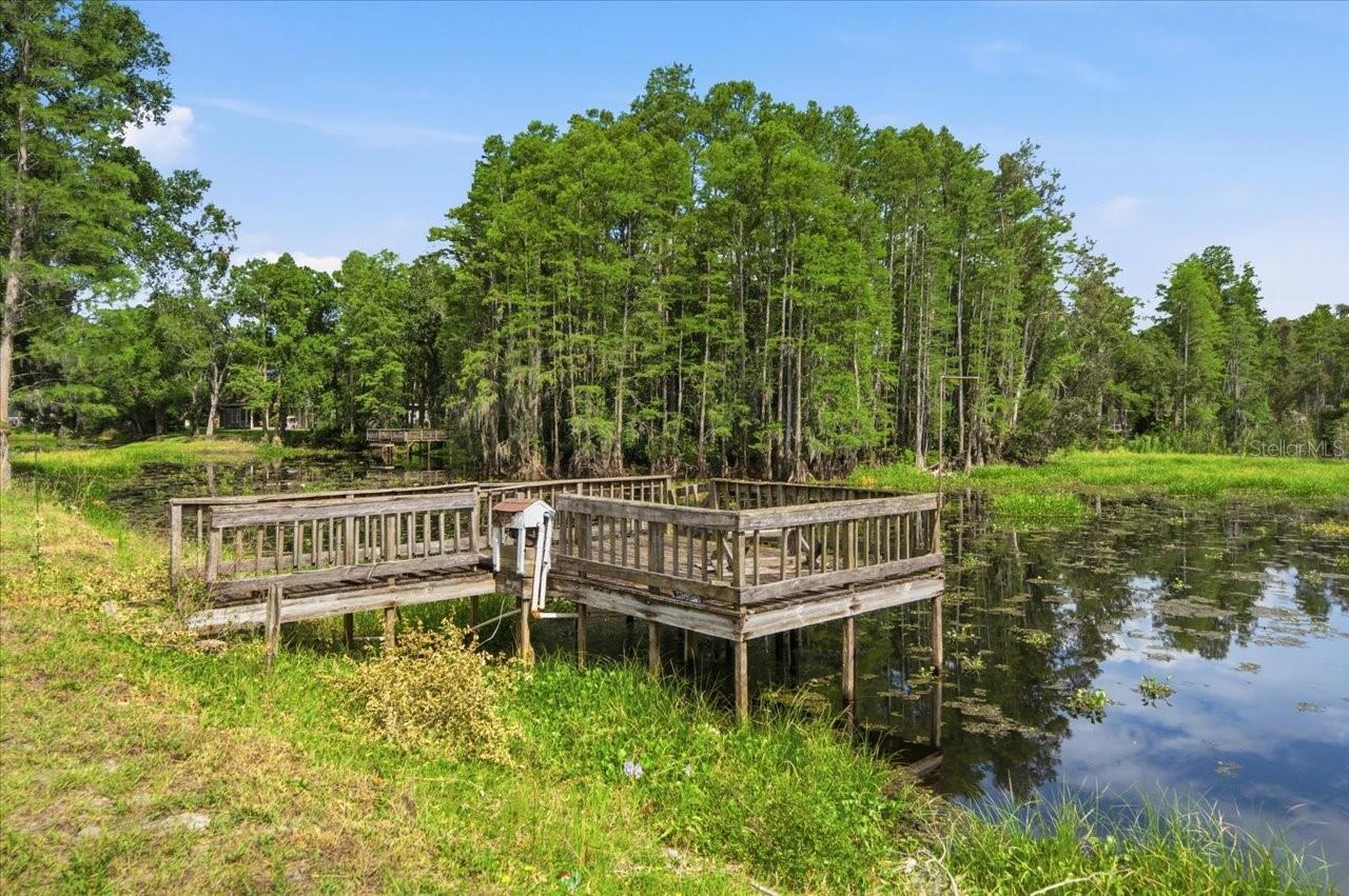 LAKE MAGDALENE WOODS LOT 9 REPLAT - Land