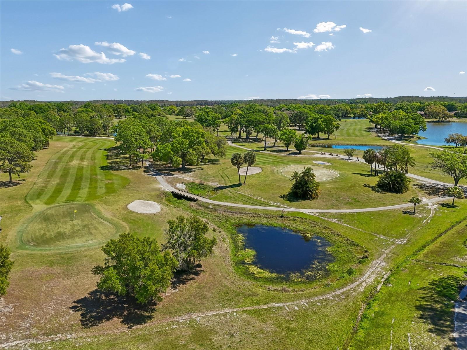 WINDSOR PARK AT THE EAGLES-FI - Residential