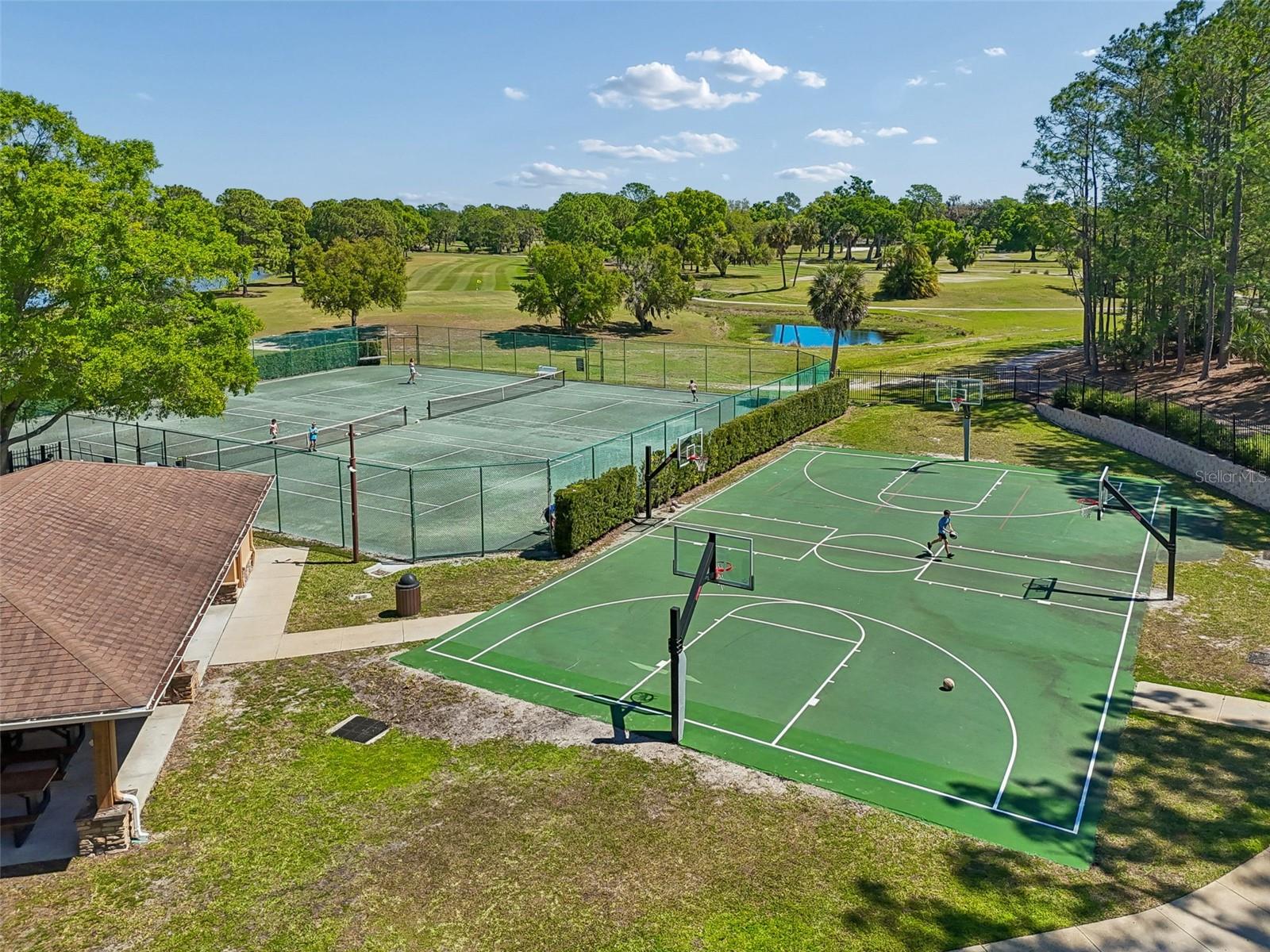 WINDSOR PARK AT THE EAGLES-FI - Residential